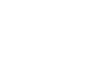 Pinnacle Franchise Brokers
